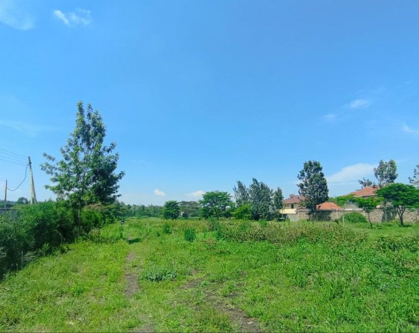 Land For Sale