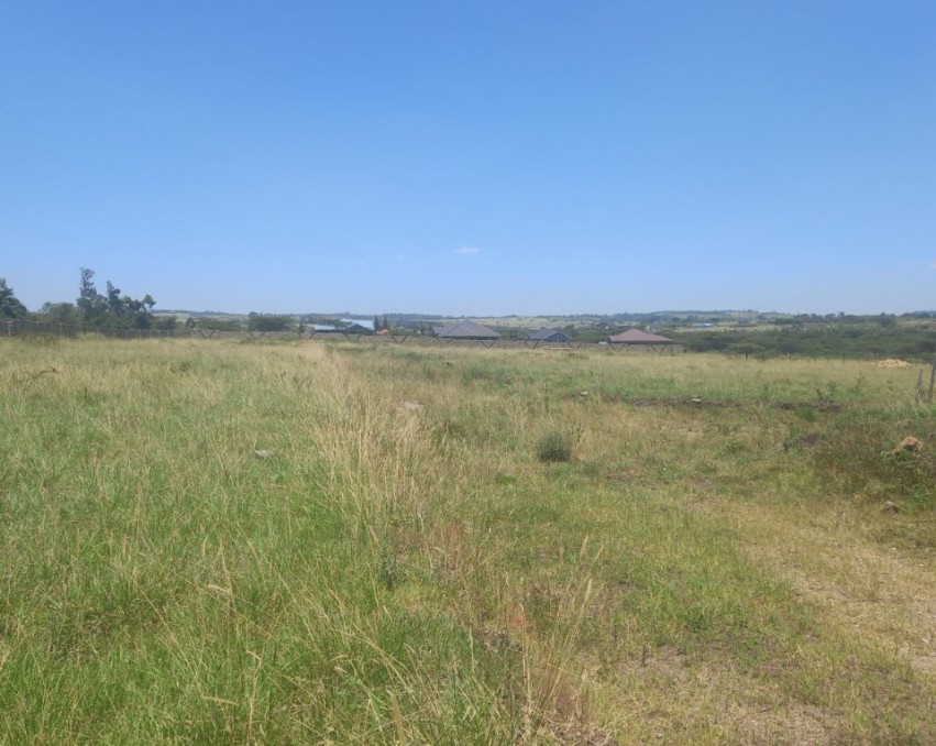 Plots For Sale
